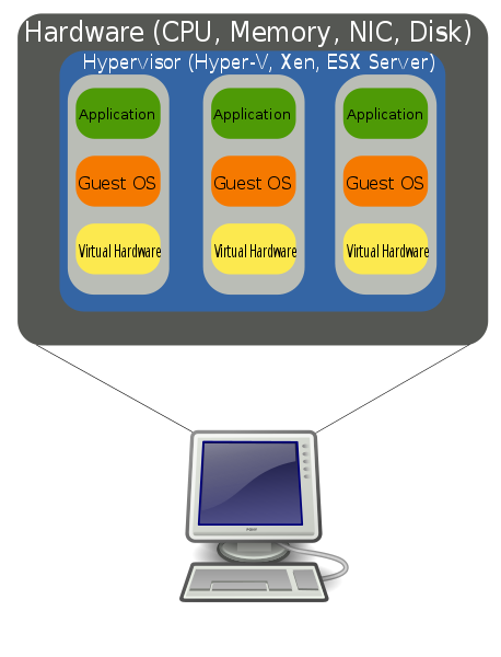 Anatomical Diagram of a VM