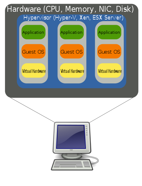 Anatomical Diagram of a VM